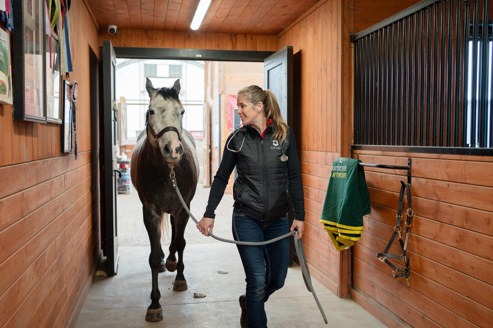 A CoVet vet leads a grey horse down a barn aisle toward daylight from an open doorway