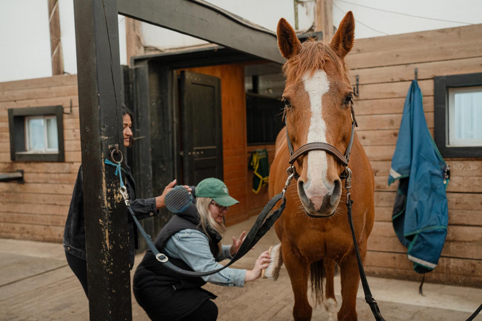 Two women groom a chestnut horse outside a stable, one brushing its shoulder