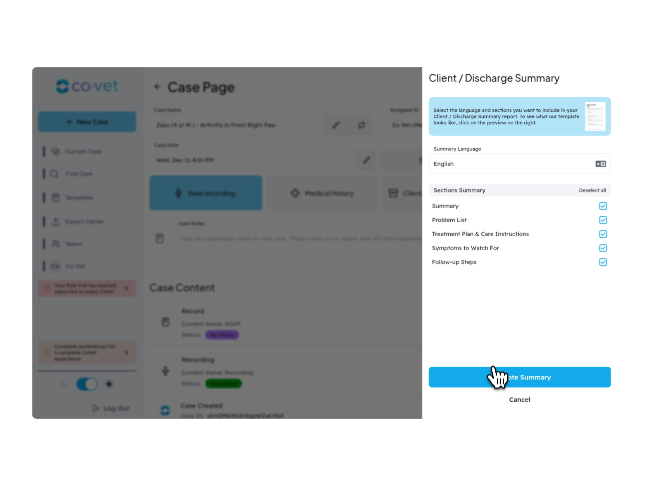 Polished Client Summaries
