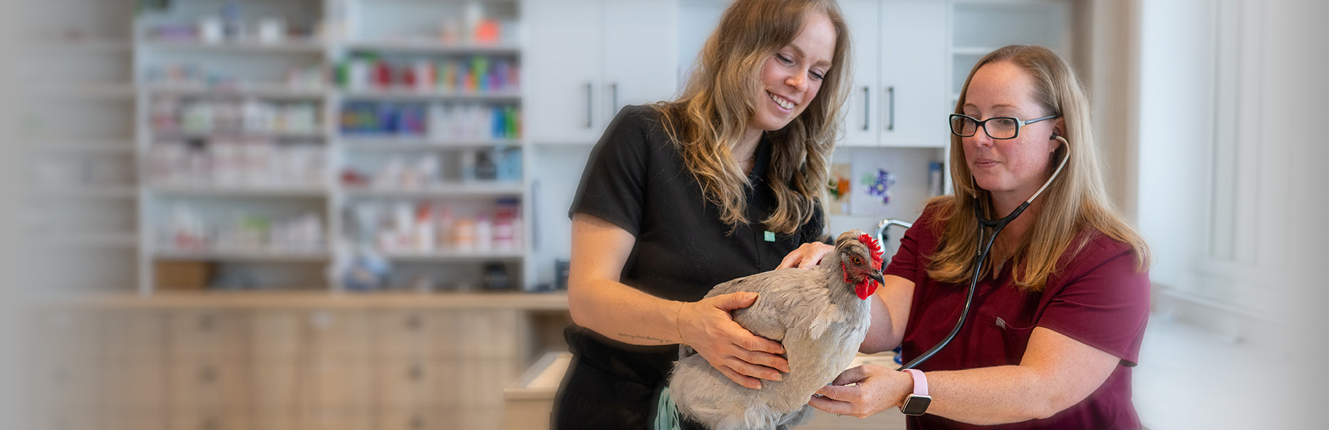 Veterinarian documenting patient notes on a tablet